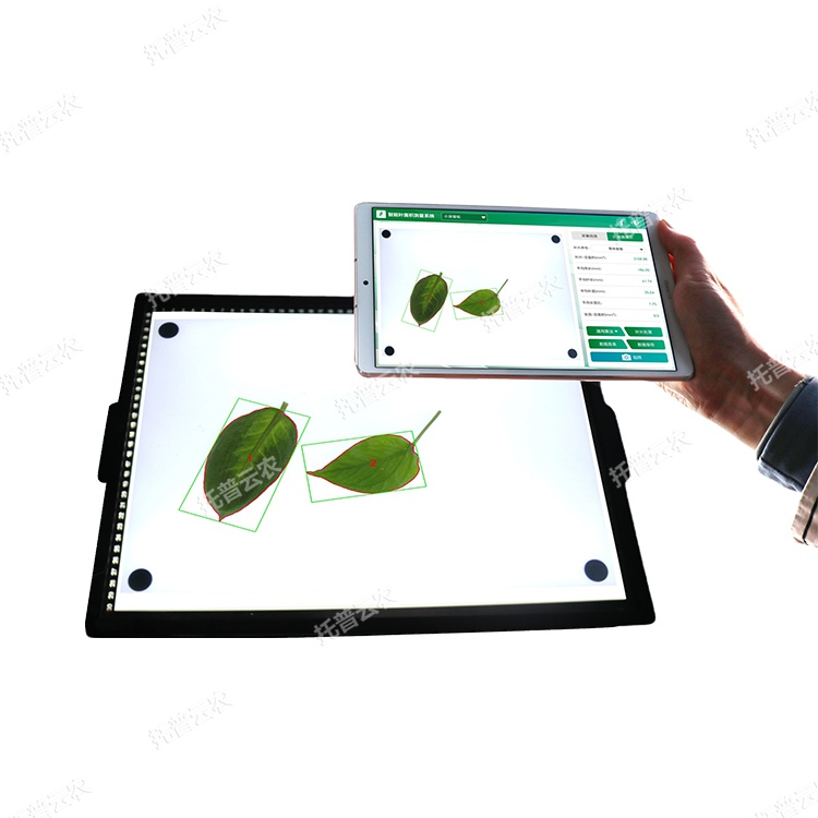 智能葉面積測量系統(tǒng)